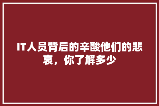 IT人员背后的辛酸他们的悲哀，你了解多少