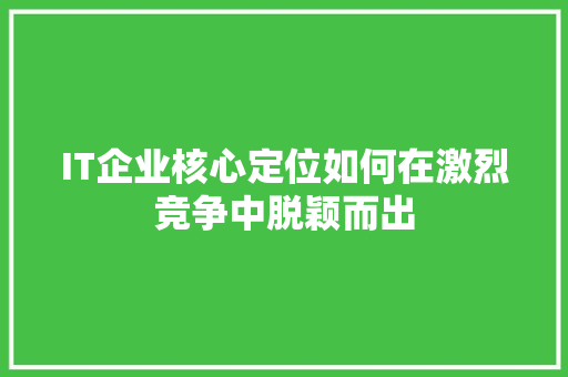 IT企业核心定位如何在激烈竞争中脱颖而出
