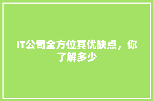 IT公司全方位其优缺点，你了解多少