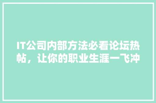 IT公司内部方法必看论坛热帖，让你的职业生涯一飞冲天！