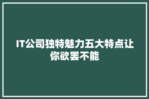 IT公司独特魅力五大特点让你欲罢不能