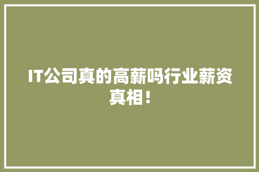 IT公司真的高薪吗行业薪资真相！
