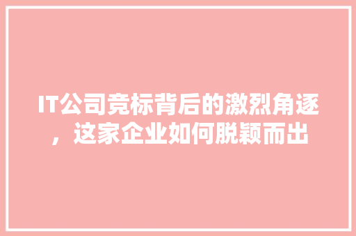 IT公司竞标背后的激烈角逐，这家企业如何脱颖而出