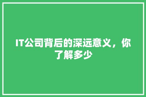 IT公司背后的深远意义，你了解多少