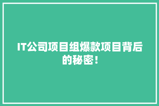 IT公司项目组爆款项目背后的秘密！