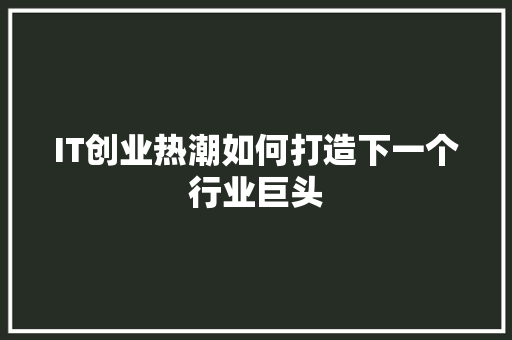 IT创业热潮如何打造下一个行业巨头