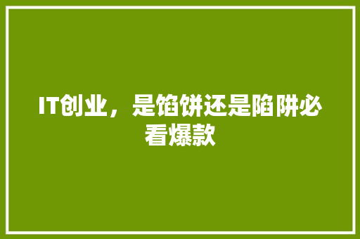 IT创业，是馅饼还是陷阱必看爆款