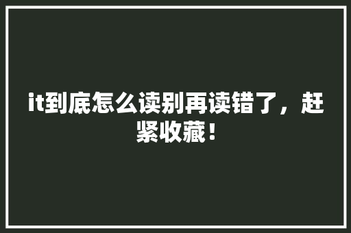 it到底怎么读别再读错了，赶紧收藏！ 360搜优化