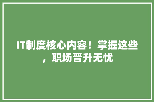 IT制度核心内容！掌握这些，职场晋升无忧