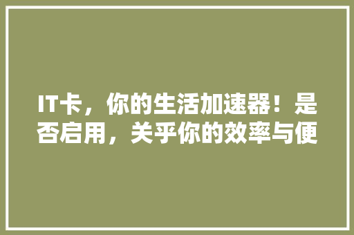 IT卡，你的生活加速器！是否启用，关乎你的效率与便捷！