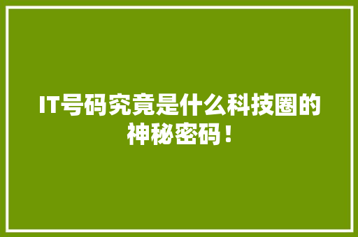 IT号码究竟是什么科技圈的神秘密码！