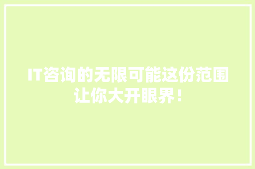 IT咨询的无限可能这份范围让你大开眼界！
