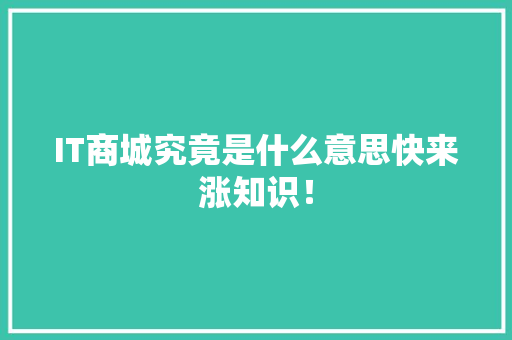 IT商城究竟是什么意思快来涨知识！
