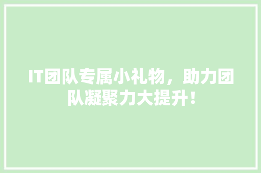 IT团队专属小礼物，助力团队凝聚力大提升！
