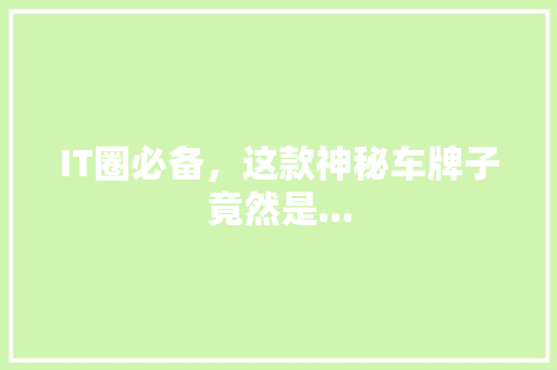 IT圈必备，这款神秘车牌子竟然是...