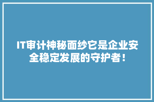 IT审计神秘面纱它是企业安全稳定发展的守护者！