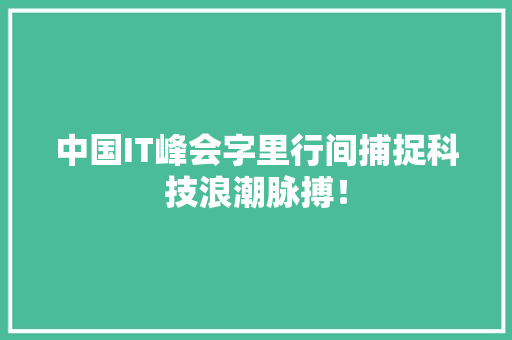 中国IT峰会字里行间捕捉科技浪潮脉搏！