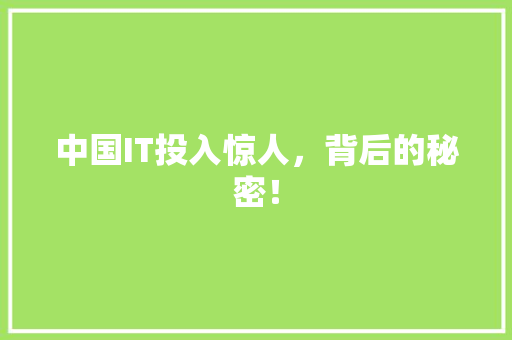 中国IT投入惊人，背后的秘密！ 360搜优化