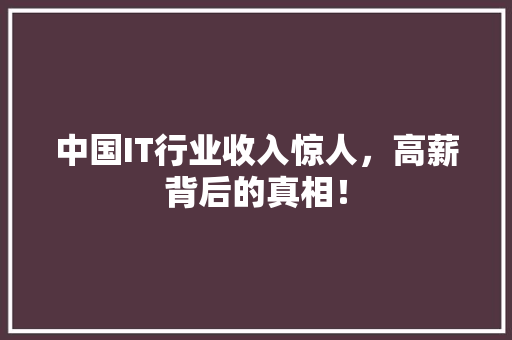 中国IT行业收入惊人，高薪背后的真相！