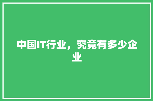 中国IT行业，究竟有多少企业