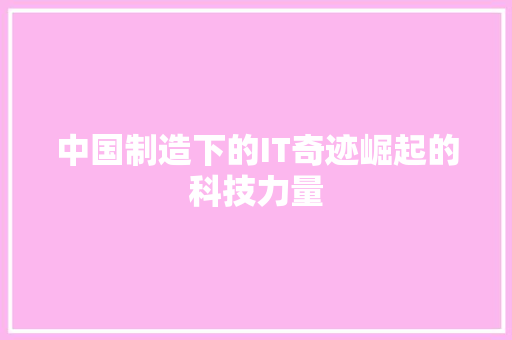 中国制造下的IT奇迹崛起的科技力量