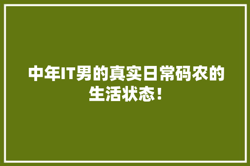 中年IT男的真实日常码农的生活状态！ 头条优化