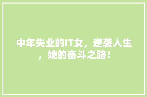 中年失业的IT女，逆袭人生，她的奋斗之路！
