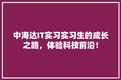 中海达IT实习实习生的成长之路，体验科技前沿！