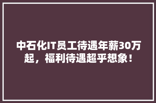 中石化IT员工待遇年薪30万起，福利待遇超乎想象！