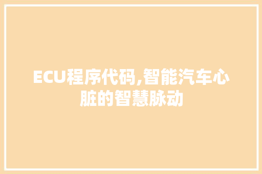 ECU程序代码,智能汽车心脏的智慧脉动