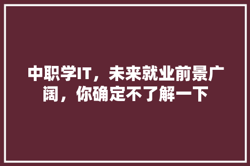 中职学IT，未来就业前景广阔，你确定不了解一下