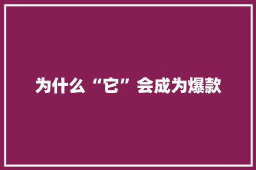 为什么“它”会成为爆款