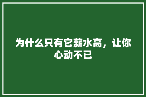 为什么只有它薪水高，让你心动不已