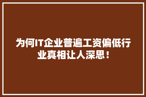 为何IT企业普遍工资偏低行业真相让人深思！