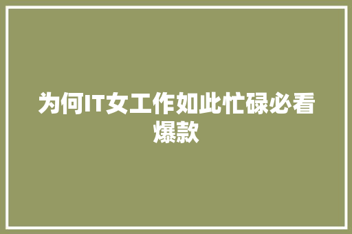 为何IT女工作如此忙碌必看爆款 360搜优化