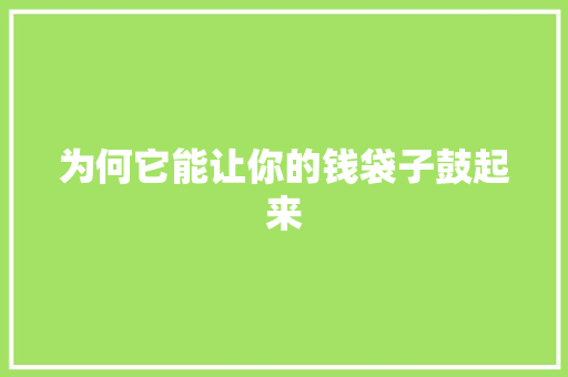 为何它能让你的钱袋子鼓起来