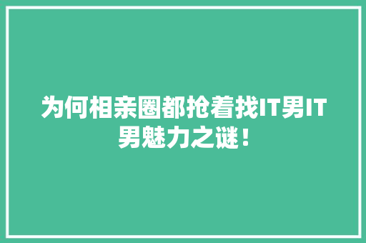 为何相亲圈都抢着找IT男IT男魅力之谜！