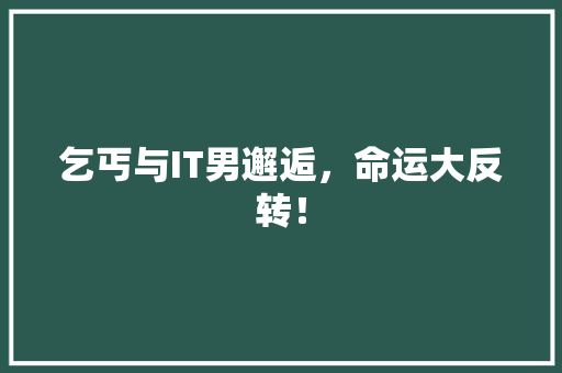 乞丐与IT男邂逅，命运大反转！ 网站优化