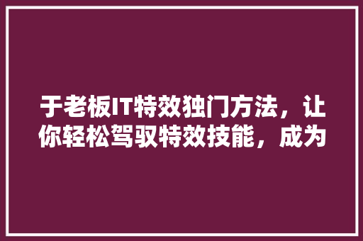 于老板IT特效独门方法，让你轻松驾驭特效技能，成为行业翘楚！