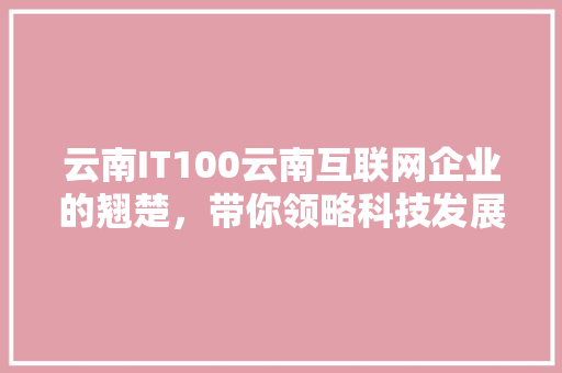 云南IT100云南互联网企业的翘楚，带你领略科技发展的速度与激情！
