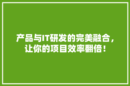 产品与IT研发的完美融合，让你的项目效率翻倍！