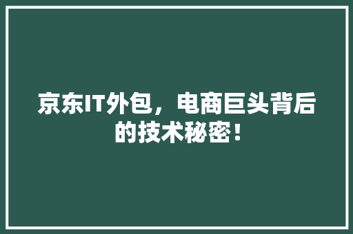 京东IT外包，电商巨头背后的技术秘密！