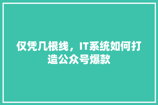 仅凭几根线，IT系统如何打造公众号爆款