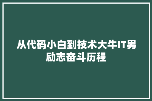 从代码小白到技术大牛IT男励志奋斗历程