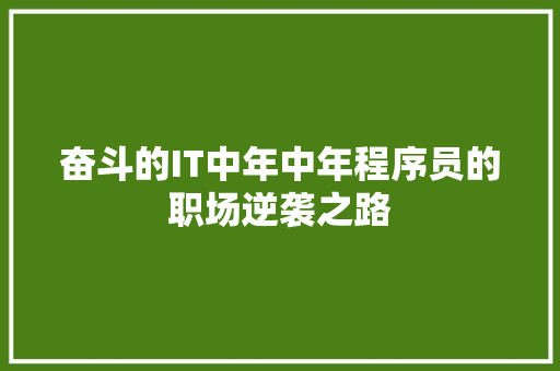 奋斗的IT中年中年程序员的职场逆袭之路