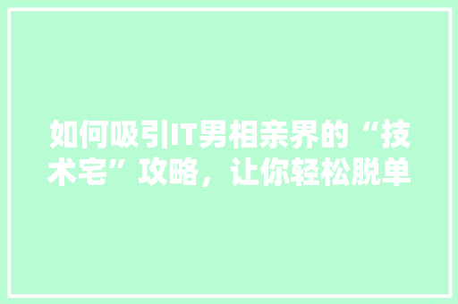 如何吸引IT男相亲界的“技术宅”攻略，让你轻松脱单