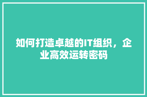 如何打造卓越的IT组织，企业高效运转密码