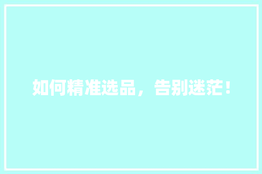如何精准选品，告别迷茫！ 网站开发