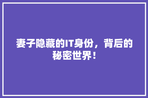 妻子隐藏的IT身份，背后的秘密世界！
