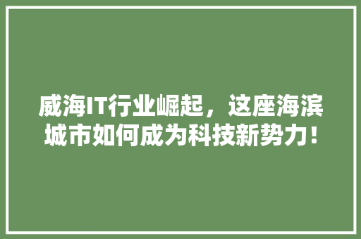 威海IT行业崛起，这座海滨城市如何成为科技新势力！ 百度算法